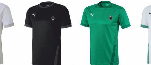 Übersicht Fan-Kollektion